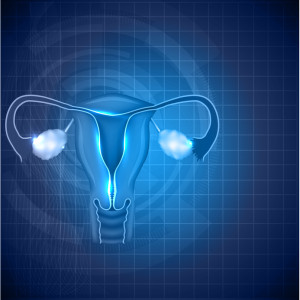Female reproductive system background, uterus and ovaries